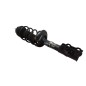 Ammortizzatore Anteriore Sinistro FORD Fiesta 6° Serie