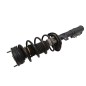 Ammortizzatore Anteriore Sinistro FORD Fiesta 6° Serie
