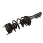 Ammortizzatore Anteriore destro FORD Fiesta 6° Serie