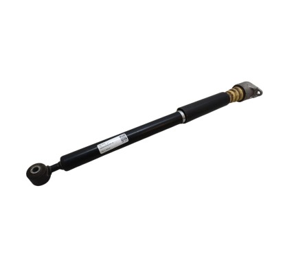 Ammortizzatore posteriore SX FORD Fiesta 6° Serie