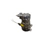 Compressore A/C PEUGEOT 206 2° Serie