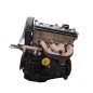 Motore Completo VOLKSWAGEN Polo 2° Serie