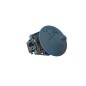 Sportellino Carburante CITROEN C3 2° Serie