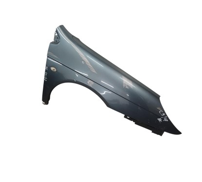 Parafango Anteriore Destro CITROEN C5 Berlina 2° Serie