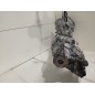 Cambio Manuale Completo GREAT WALL MOTOR Hover Serie dal 06