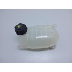 Vaschetta liquido radiatore RENAULT Captur Serie