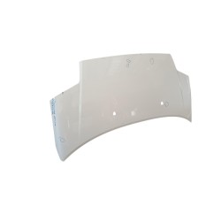 Cofano Anteriore CITROEN C2 2° Serie - 7901K2 - 3149919