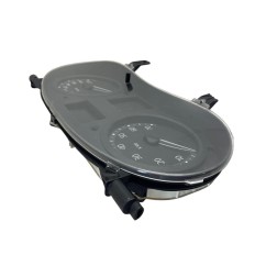 Quadro Strumenti RENAULT Clio Serie dal 01 al 05 - 7711368915 - 3617722