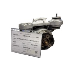 Differenziale Posteriore RENAULT Scenic RX4