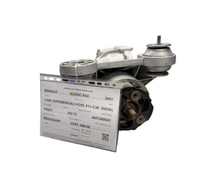 Differenziale Posteriore RENAULT Scenic RX4 - J641340041 - 3148448