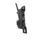 Amplificatore Antenna RENAULT CLIO Serie V dal 19