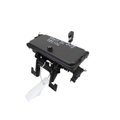 Telecamera anteriore RENAULT Scenic Serie dal 16
