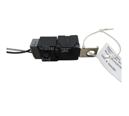 Amplificatore Antenna RENAULT Scenic Serie dal 16 - 283633384R - 3618476