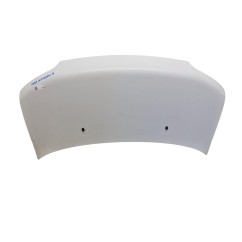 Cofano Anteriore DAIHATSU Materia 1° Serie - 53301B1060 - 3185624
