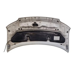 Cofano Anteriore DAIHATSU Materia 1° Serie - 53301B1060 - 3185624