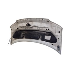 Cofano Anteriore DAIHATSU Materia 1° Serie - 53301B1060 - 3185624
