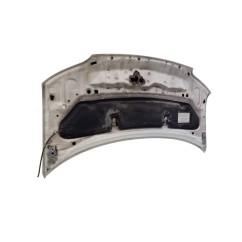 Cofano Anteriore DAIHATSU Materia 1° Serie - 53301B1060 - 3185624