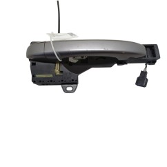 Maniglia esterna Anteriore Destra RENAULT Scenic Serie dal 16 - 806061944R - 3618494