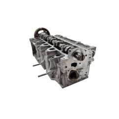 Testata RENAULT Captur Serie - 110413019R - 3111095