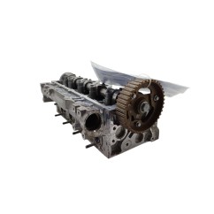 Testata RENAULT Captur Serie - 110413019R - 3111095