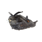 Faro Anteriore Sinistro TOYOTA Yaris Serie dal 99 al 03