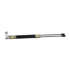 Pistoncini cofano Post. FORD Fusion 3° Serie - 1212586 - 3625015