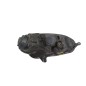 Faro Anteriore Sinistro VOLKSWAGEN Golf 5 Berlina dal 03 al 08