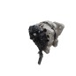 Alternatore SKODA Fabia S. Wagon 2° Serie