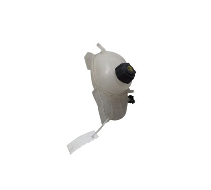 VASCHETTA LIQUIDO RAFFREDDAMENTO INVERTER SMART Fortwo Brabus