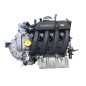 Motore Completo RENAULT Megane Scenic dal 97 al 01
