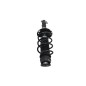 Ammortizzatore Anteriore destro VOLKSWAGEN Polo 5° Serie