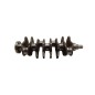 Albero Motore FIAT Punto Berlina 3P 3° Serie