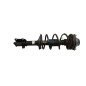 Ammortizzatore Anteriore Sinistro SUZUKI Ignis 2° Serie