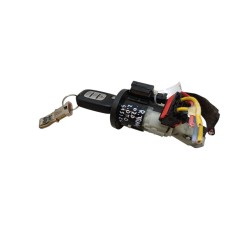 Blocchetto Accensione RENAULT Trafic Serie - 487009492R - 3306129