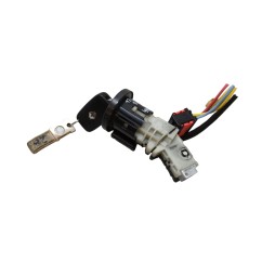 Blocchetto Accensione RENAULT Trafic Serie - 487009492R - 3306129