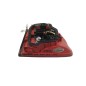 Stop fanale posteriore Destro VOLKSWAGEN Touran 3° Serie