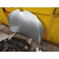 Musata Completa RENAULT Kadjar Serie - 651004019R - 2971325