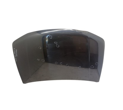 Cofano Anteriore SUZUKI Grand Vitara JB - 5730065811000 - 3635000