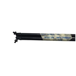 Pistoncini cofano Post. EMC Wave 3 Serie dal 22 - 3637059 - 3637059