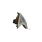 Freccia fanalino ant sx PIAGGIO Quargo 1° Serie