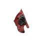 Stop fanale posteriore Destro PEUGEOT 208 3P Serie dal 12 al 19