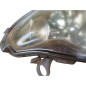 Faro Anteriore Sinistro SMART Fortwo Coupé W450