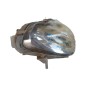 Faro anteriore Destro SMART Fortwo Coupé W450