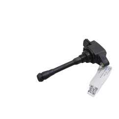 Bobine accensione RENAULT CLIO Serie V dal 19 - 224332734R - 3188569