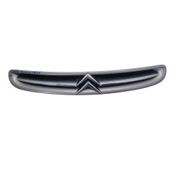 Griglia Anteriore CITROEN Xsara Picasso 1° Serie - 1611637980 - 3157776