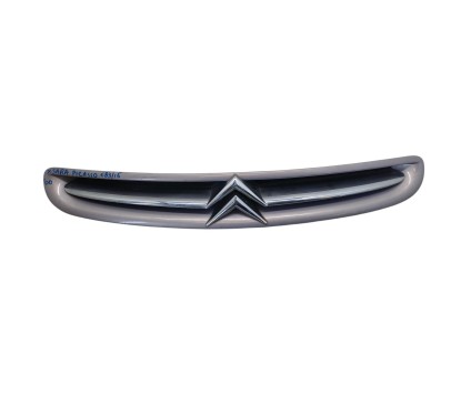 Griglia Anteriore CITROEN Xsara Picasso 1° Serie - 1611637980 - 3157776