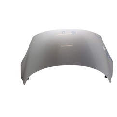 Cofano Anteriore RENAULT Grand Scenic Serie dal 09 al 16