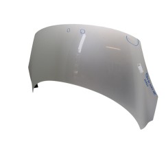 Cofano Anteriore RENAULT Grand Scenic Serie dal 09 al 16 - 651000036R - 3175359
