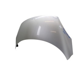 Cofano Anteriore RENAULT Grand Scenic Serie dal 09 al 16 - 651000036R - 3175359