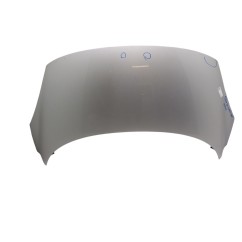 Cofano Anteriore RENAULT Grand Scenic Serie dal 09 al 16 - 651000036R - 3175359